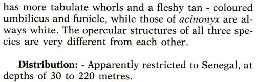 Pag 1 05 acinonix text 2